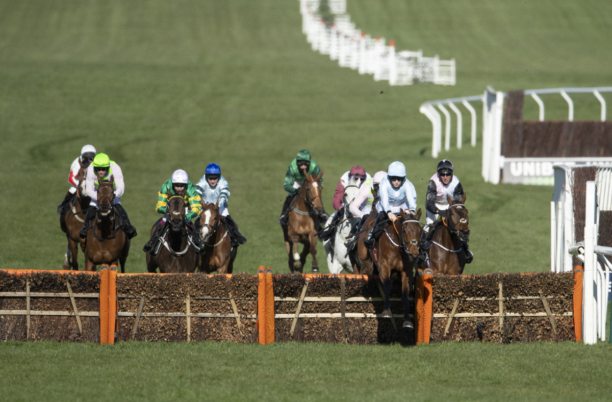 Champion Hurdle Tips: Honeysuckle set to make history?